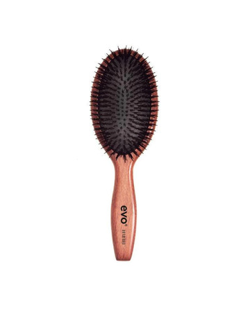 brosse à poils et dents evo bradford