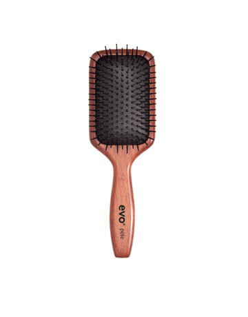 brosse rectangulaire evo pete ionic