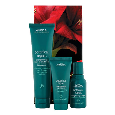 Aveda Botanical Repair ™ Set Xmas