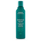 Shampooing fortifiant réparateur botanique Aveda 200 ml